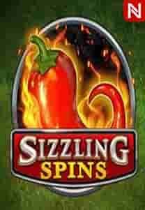 Sizzling Spins